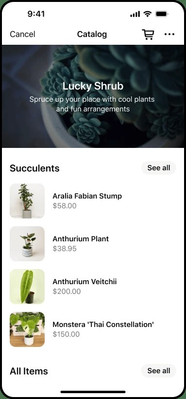 WhatsApp Business catalog example